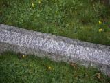 image of grave number 816584
